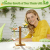 Heart Shaped Wood Plant Propagation Station