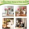 Heart Shaped Wood Plant Propagation Station