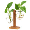Heart Shaped Wood Plant Propagation Station