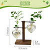 Heart Shaped Wood Plant Propagation Station