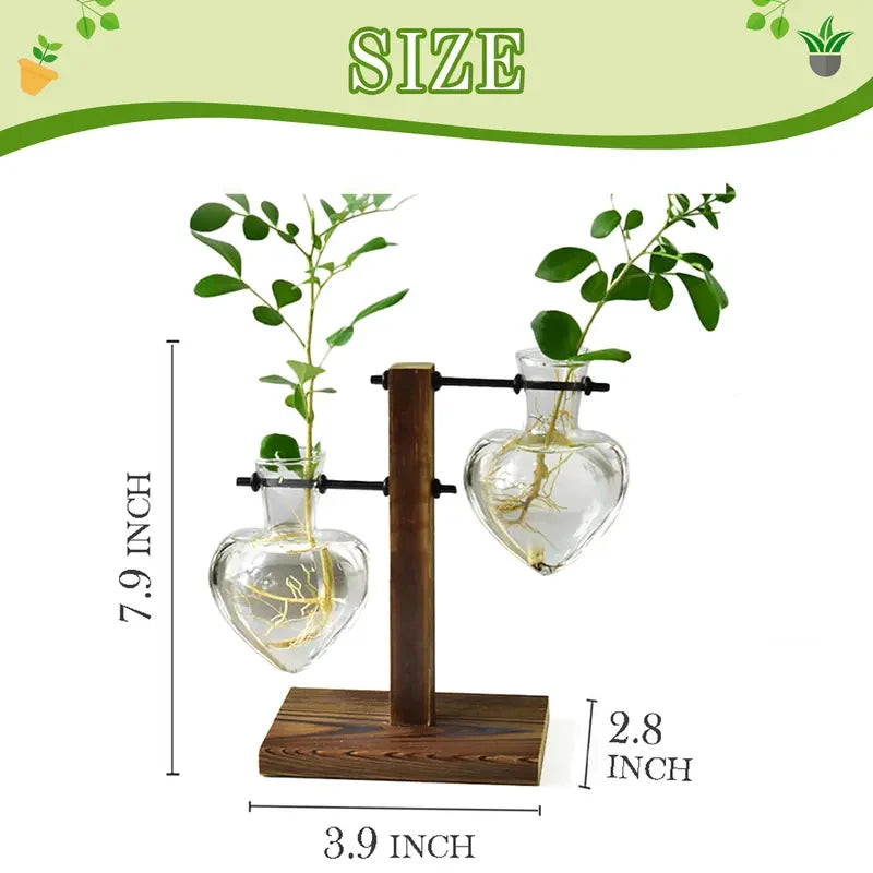 Heart Shaped Wood Plant Propagation Station